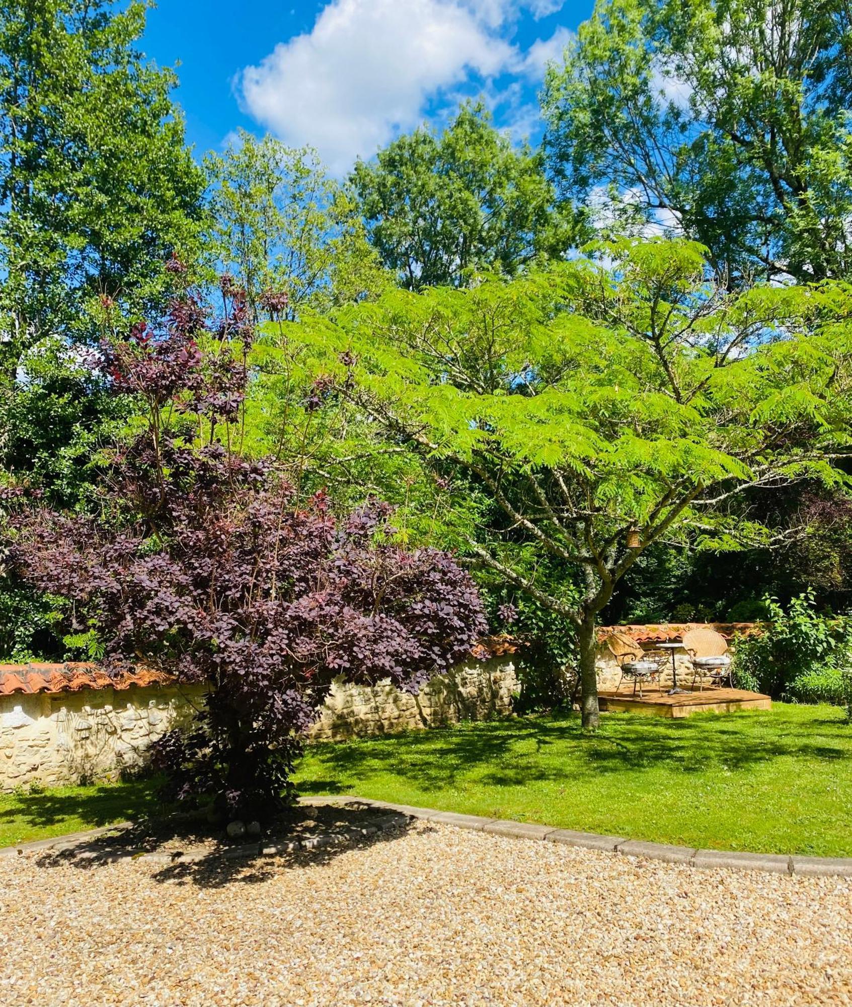 Bed and Breakfast Moulin du Fontcourt à Chasseneuil-sur-Bonnieure Extérieur photo