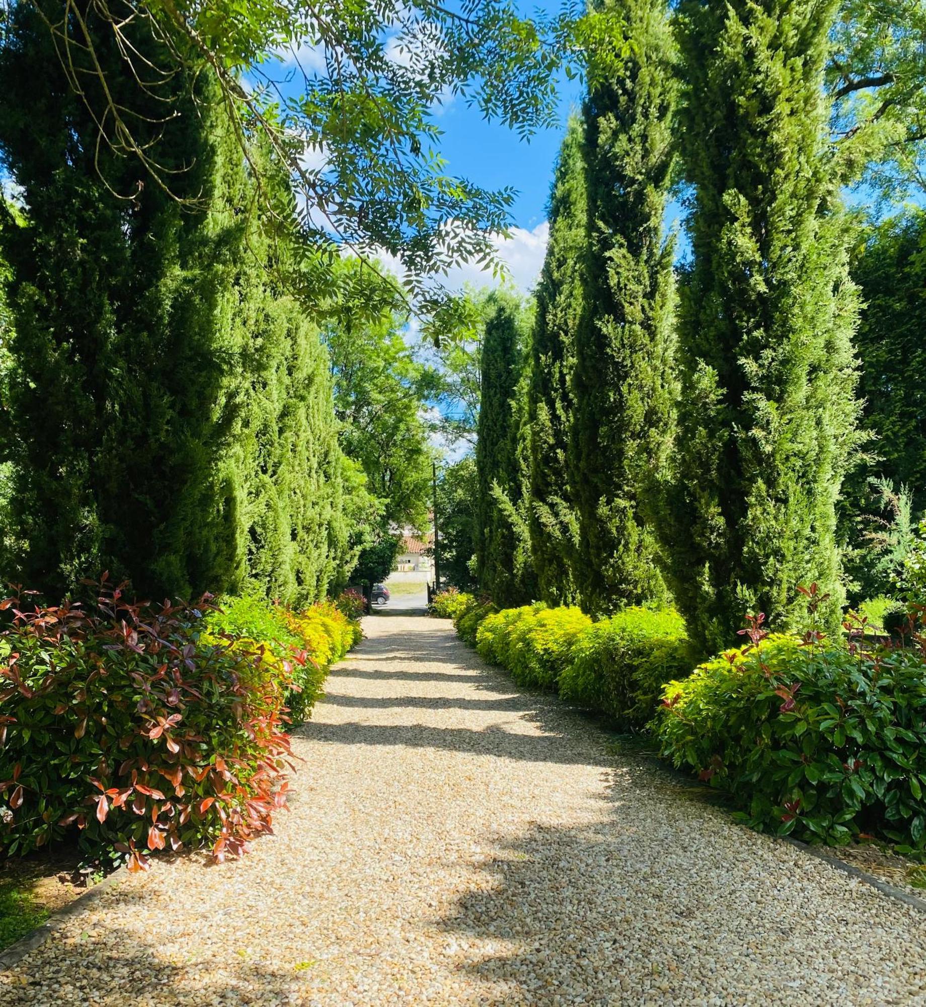 Bed and Breakfast Moulin du Fontcourt à Chasseneuil-sur-Bonnieure Extérieur photo